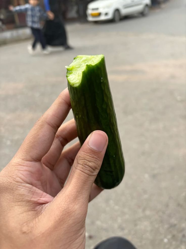 Cucumber